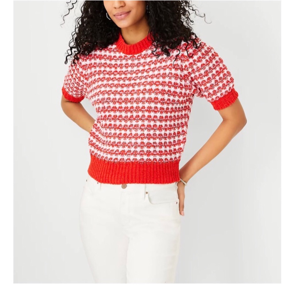 Ann Taylor Red and White Crew Neck Sweater